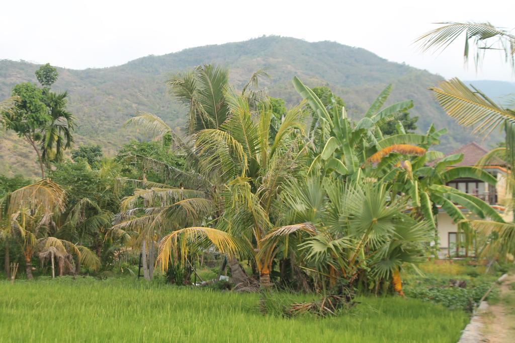 Taman Padi Villa Amed  Luaran gambar