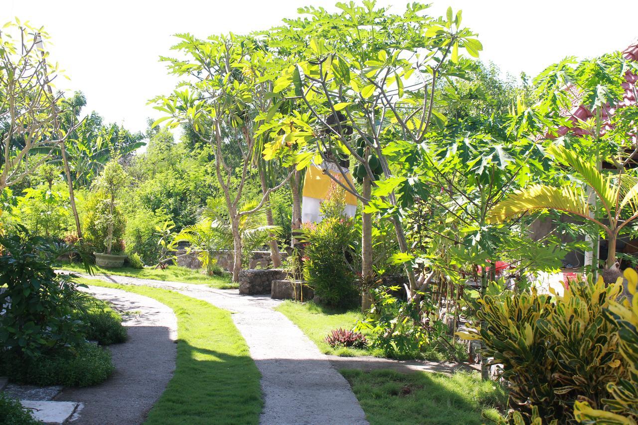 Taman Padi Villa Amed  Luaran gambar