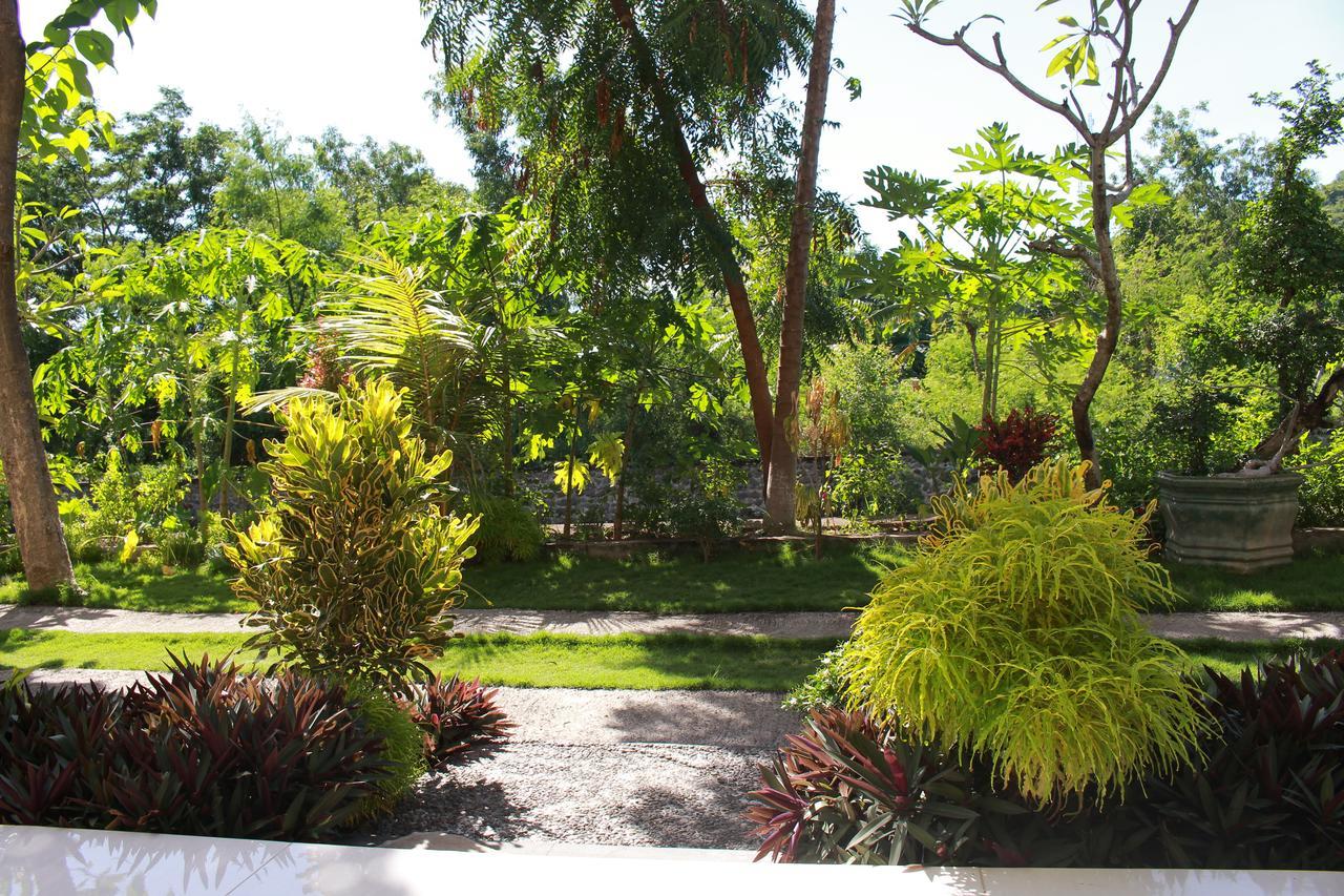 Taman Padi Villa Amed  Luaran gambar