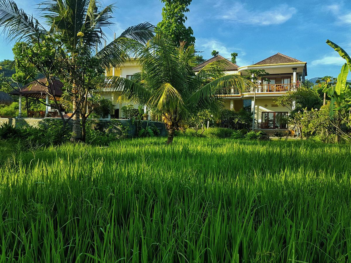 Taman Padi Villa Amed  Luaran gambar